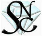 Sarceno Network Consulting LLC Logo